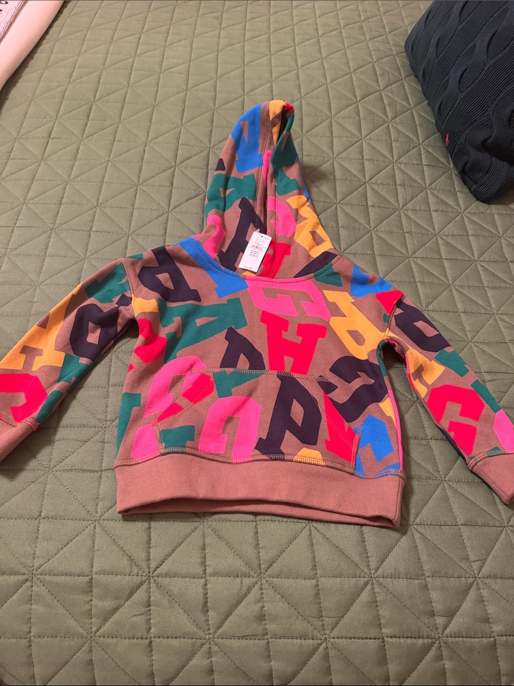 Baby GAP Multicolor Letter-Print Hooded Sweater - Women's